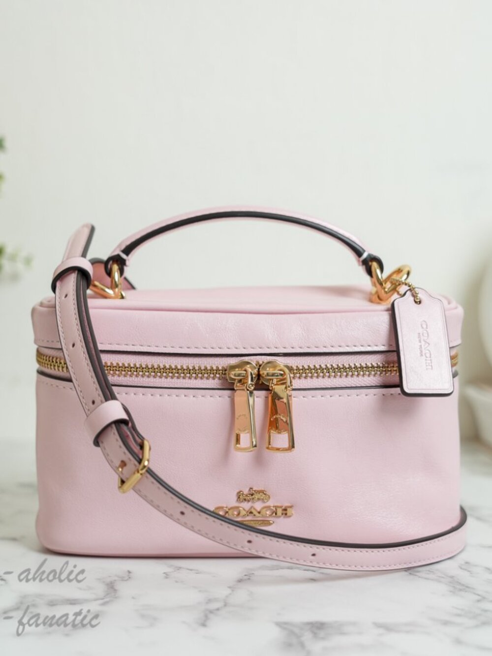 Coach CEO24 Rainer Crossbody  18 Leather Vanity Bag in Gold/Soft Pink NWT